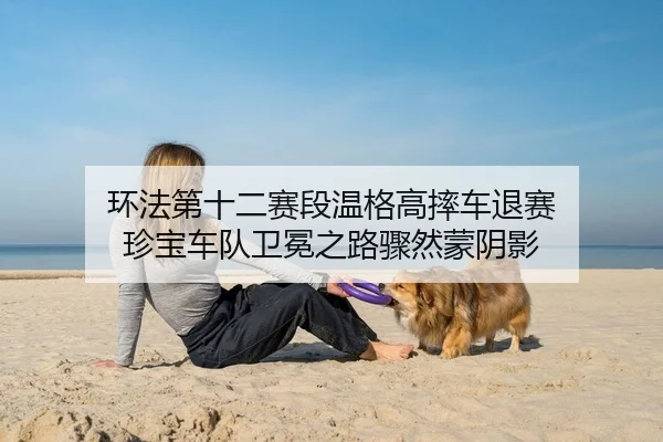 环法第十二赛段温格高摔车退赛 珍宝车队卫冕之路骤然蒙阴影